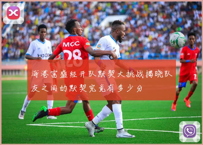 海港富盛经开队默契大挑战揭晓队友之间的默契究竟有多少分