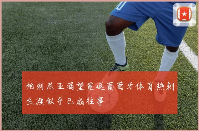 帕利尼亚渴望重返葡萄牙体育热刺生涯似乎已成往事